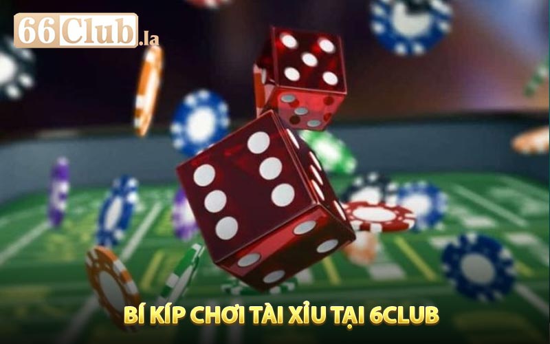 Bí kíp chơi tài xỉu là gì?